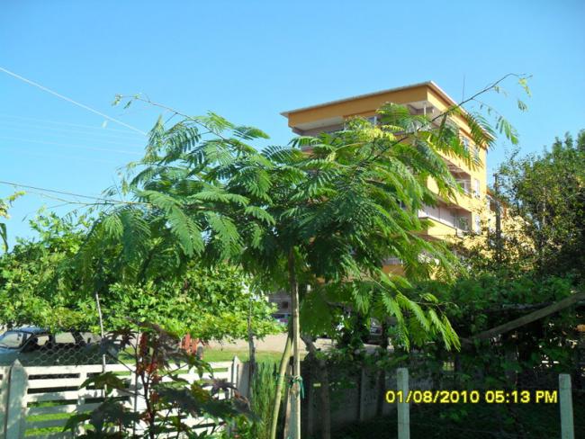 Name:  020.jpg
Views: 1489
Size:  67.3 KB