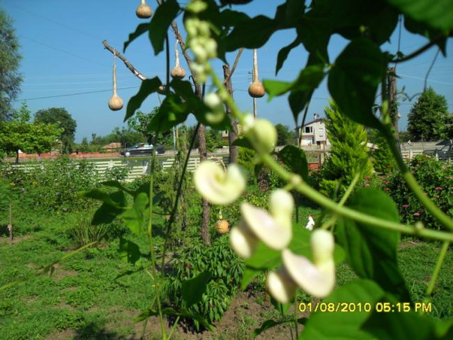 Name:  024.jpg
Views: 1305
Size:  62.6 KB