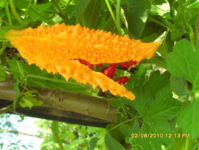 Name:  013.jpg
Views: 1293
Size:  50.4 KB