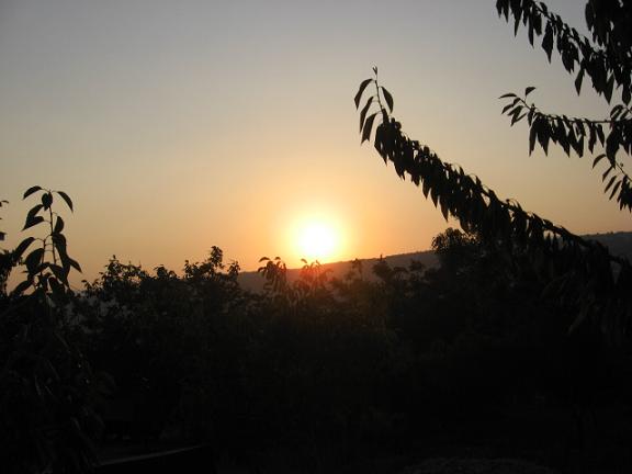 Name:  gnbatm.JPG
Views: 970
Size:  28.2 KB