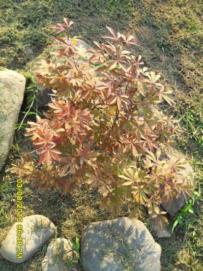 Name:  021.jpg
Views: 659
Size:  73.6 KB