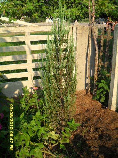 Name:  020.jpg
Views: 721
Size:  72.7 KB