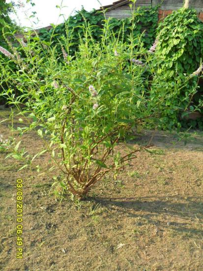 Name:  023.jpg
Views: 616
Size:  73.3 KB