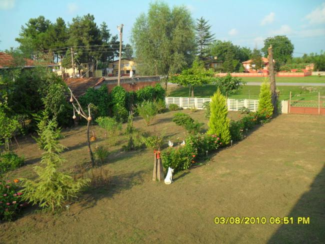 Name:  025-1.jpg
Views: 631
Size:  62.5 KB
