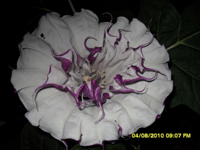 Name:  018.jpg
Views: 1163
Size:  33.6 KB