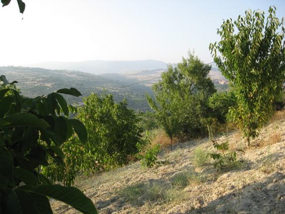 Name:  baheden.JPG
Views: 957
Size:  58.4 KB