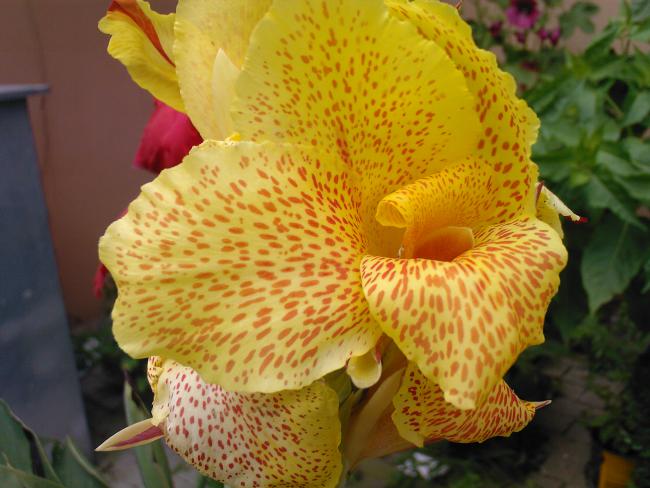 Name:  00003.jpg
Views: 622
Size:  47.9 KB