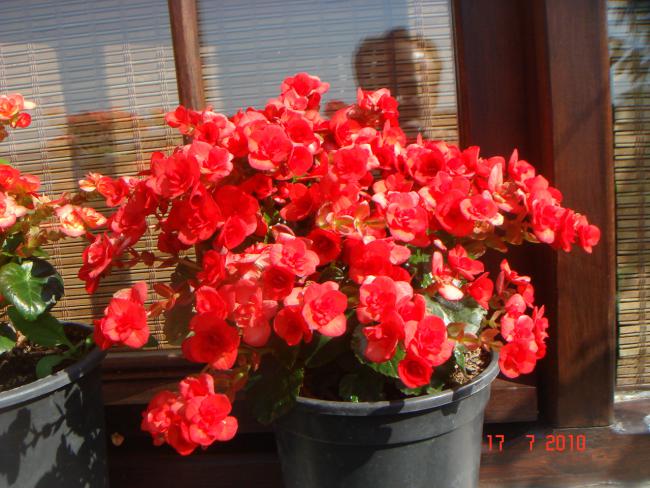 Name:  DSC02320.jpg
Views: 605
Size:  59.9 KB