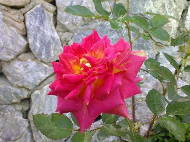 Name:  00029.jpg
Views: 607
Size:  52.2 KB