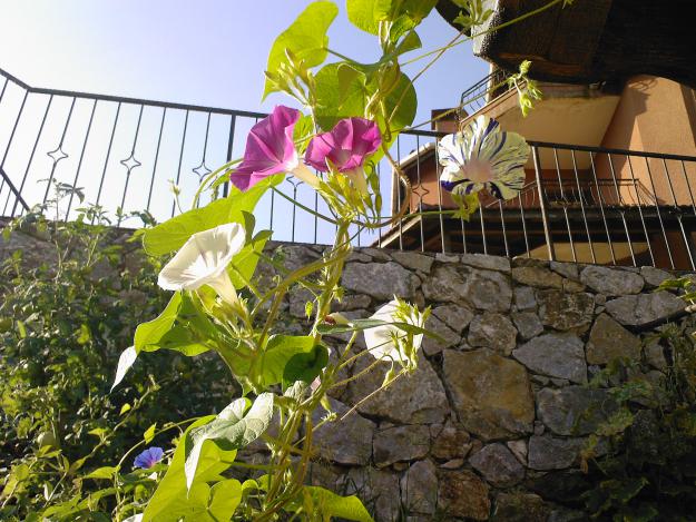 Name:  00019.jpg
Views: 594
Size:  71.0 KB