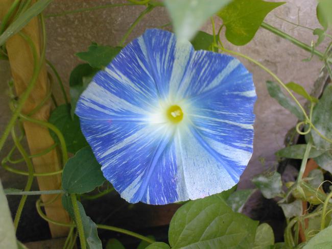 Name:  00046.jpg
Views: 624
Size:  44.5 KB