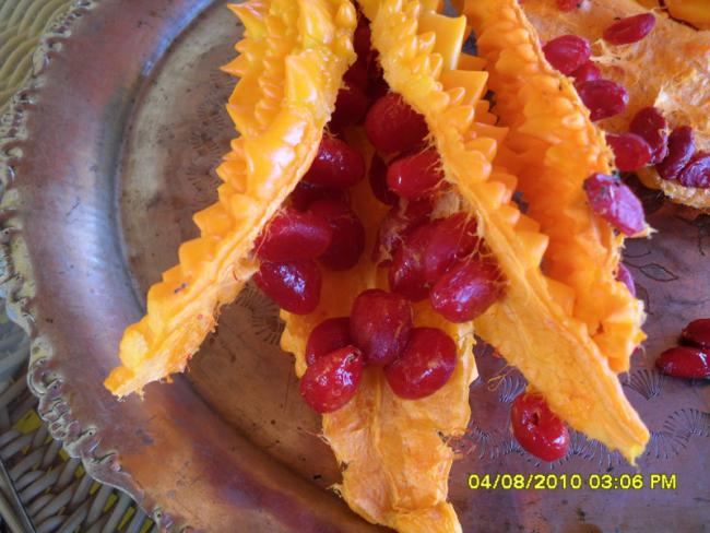 Name:  010.jpg
Views: 576
Size:  52.2 KB