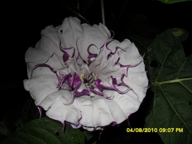 Name:  020.jpg
Views: 564
Size:  31.7 KB