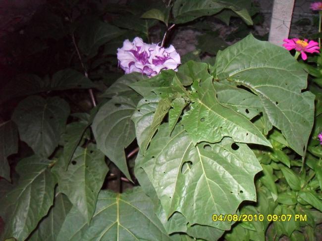 Name:  021.jpg
Views: 550
Size:  49.8 KB
