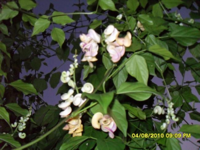 Name:  022.jpg
Views: 609
Size:  47.9 KB
