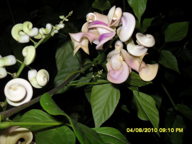 Name:  025.jpg
Views: 580
Size:  39.0 KB