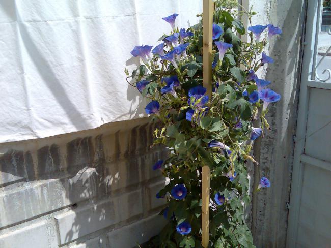 Name:  Grnt535.jpg
Views: 437
Size:  57.6 KB