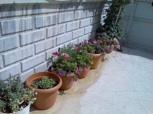 Name:  Grnt537.jpg
Views: 457
Size:  60.7 KB