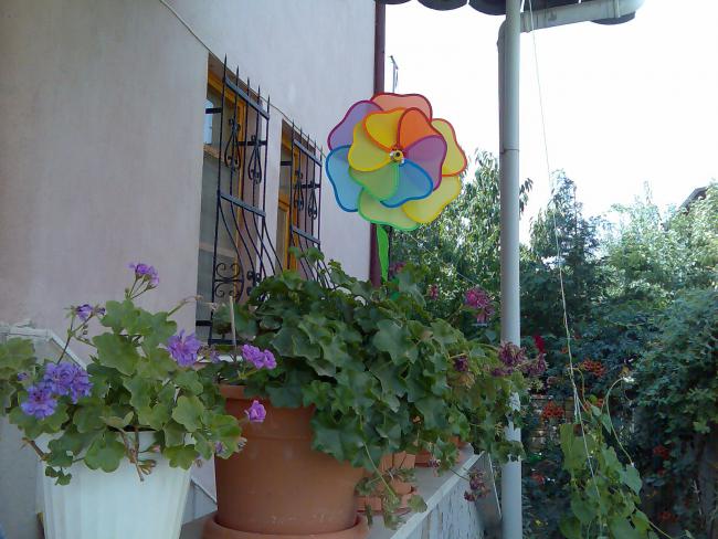 Name:  Grnt538.jpg
Views: 468
Size:  54.1 KB