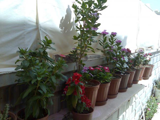 Name:  Grnt543.jpg
Views: 1012
Size:  50.5 KB