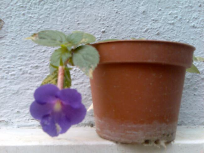 Name:  Grnt549.jpg
Views: 799
Size:  33.3 KB