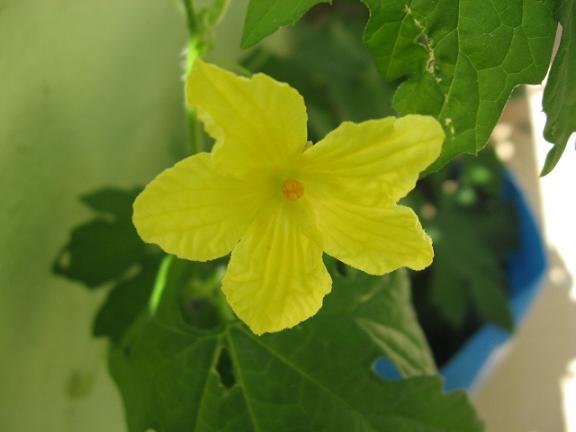 Name:  kunret nar iei.JPG
Views: 1411
Size:  28.3 KB