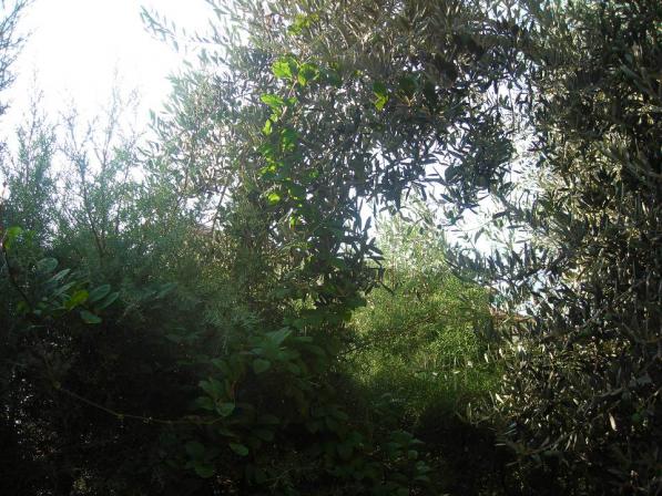 Name:  DSCN3048.jpg
Views: 667
Size:  70.2 KB