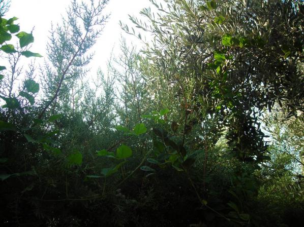 Name:  DSCN3049.jpg
Views: 659
Size:  70.6 KB