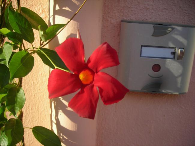 Name:  DSCN3077.jpg
Views: 670
Size:  38.3 KB