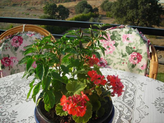 Name:  DSCN3079.jpg
Views: 739
Size:  70.4 KB