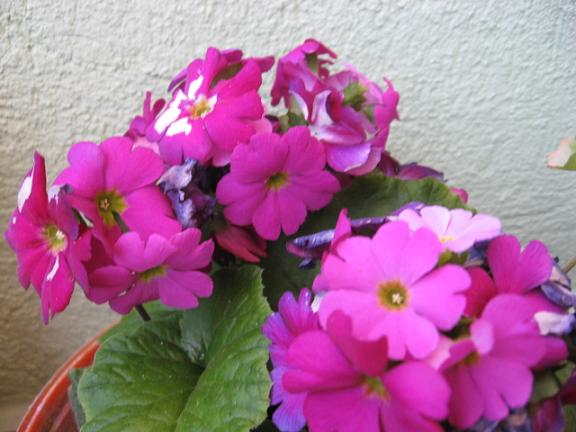 Name:  onbiray.JPG
Views: 1517
Size:  46.8 KB