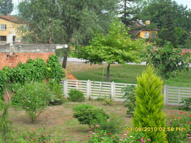 Name:  003.jpg
Views: 575
Size:  70.7 KB