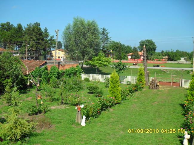 Name:  011.jpg
Views: 610
Size:  65.5 KB