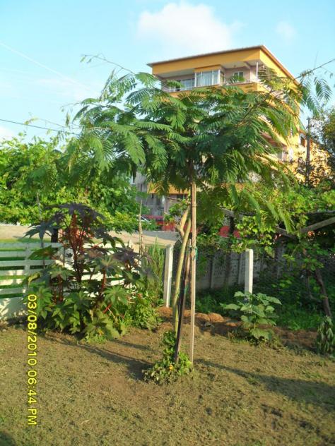 Name:  018.jpg
Views: 611
Size:  71.2 KB