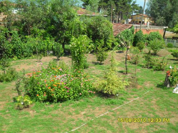 Name:  026.jpg
Views: 718
Size:  71.5 KB