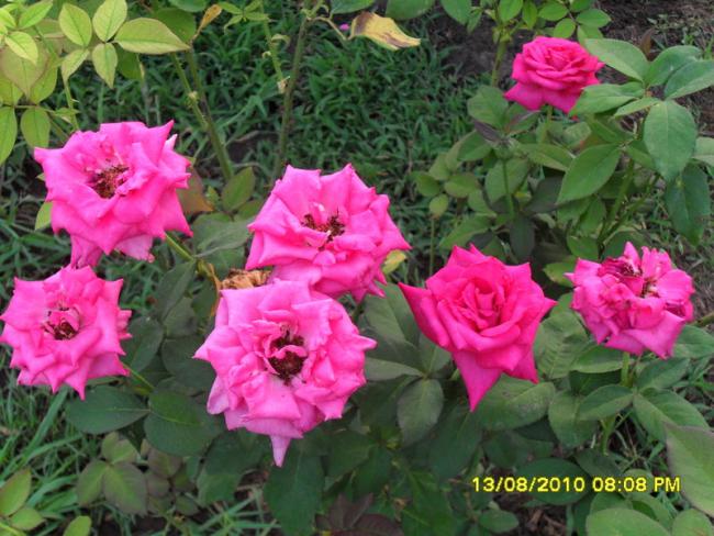 Name:  053.jpg
Views: 687
Size:  60.4 KB