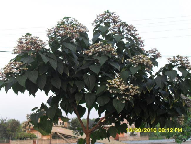Name:  066.jpg
Views: 711
Size:  55.1 KB