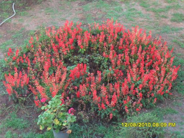 Name:  034.jpg
Views: 1200
Size:  70.8 KB