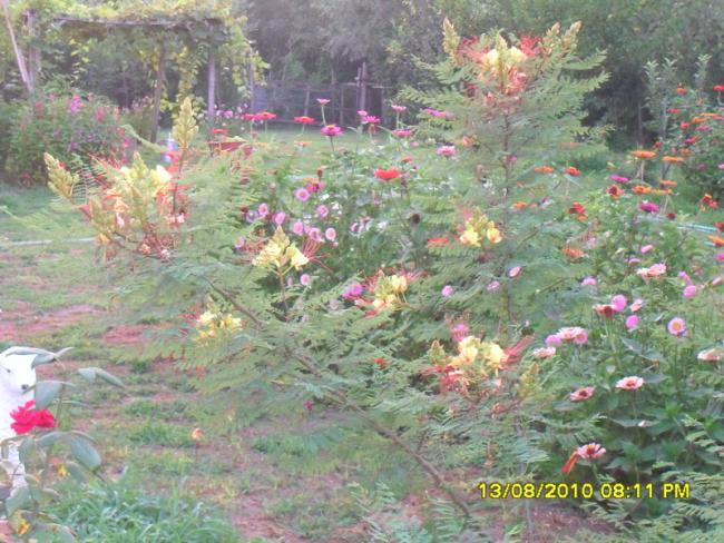 Name:  065.jpg
Views: 1511
Size:  68.3 KB