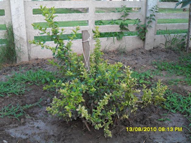 Name:  070.jpg
Views: 1246
Size:  70.7 KB