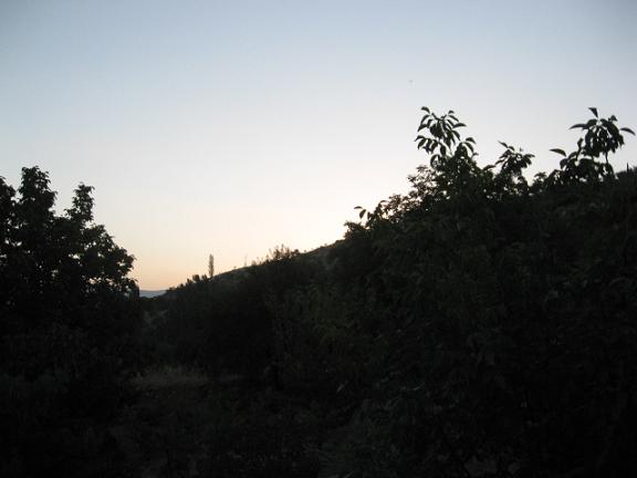 Name:  gn aarrken.JPG
Views: 1417
Size:  27.5 KB