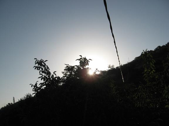 Name:  gn aarrken1.JPG
Views: 1372
Size:  25.2 KB