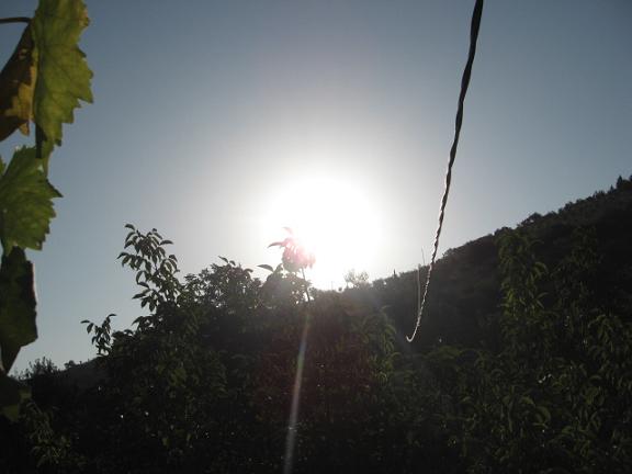 Name:  gn aarrken 2.JPG
Views: 1362
Size:  29.2 KB