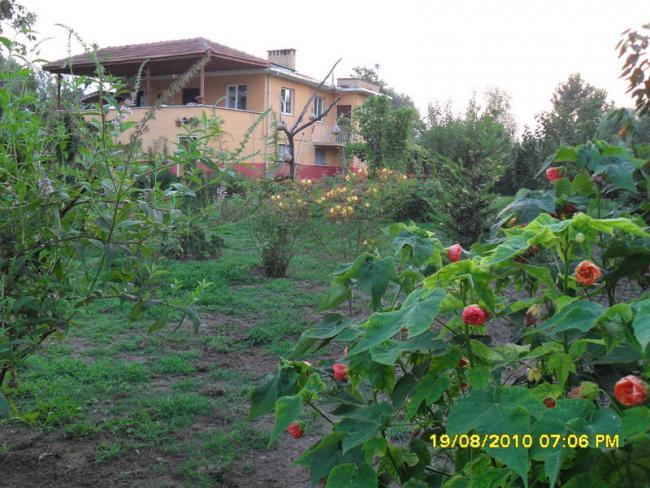 Name:  002.jpg
Views: 553
Size:  64.8 KB