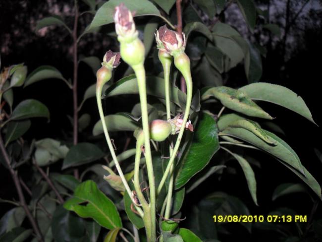 Name:  021.jpg
Views: 585
Size:  42.4 KB