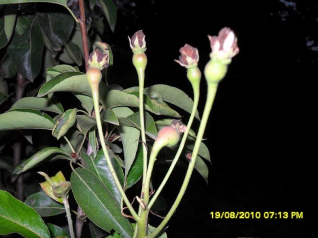 Name:  020.jpg
Views: 532
Size:  40.8 KB