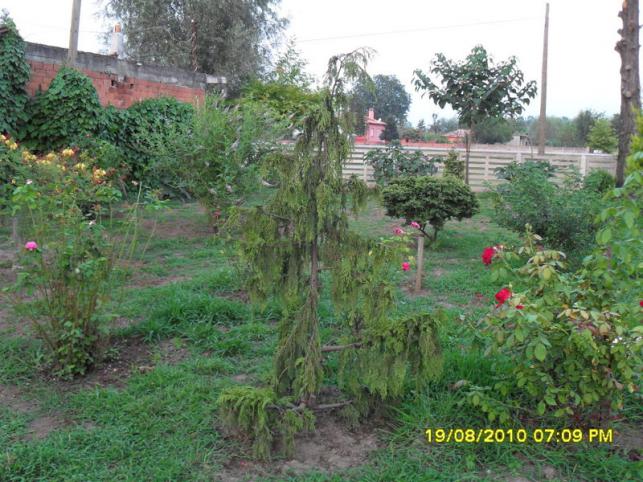 Name:  011.jpg
Views: 628
Size:  71.0 KB