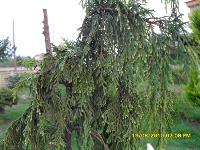 Name:  009.jpg
Views: 583
Size:  69.0 KB