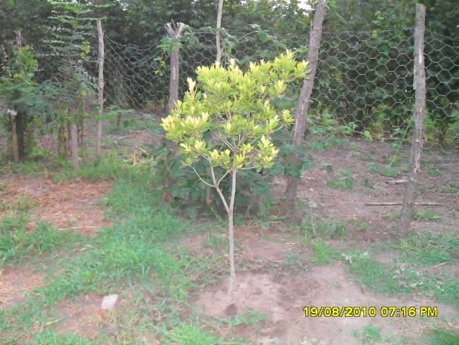 Name:  025.jpg
Views: 645
Size:  66.4 KB