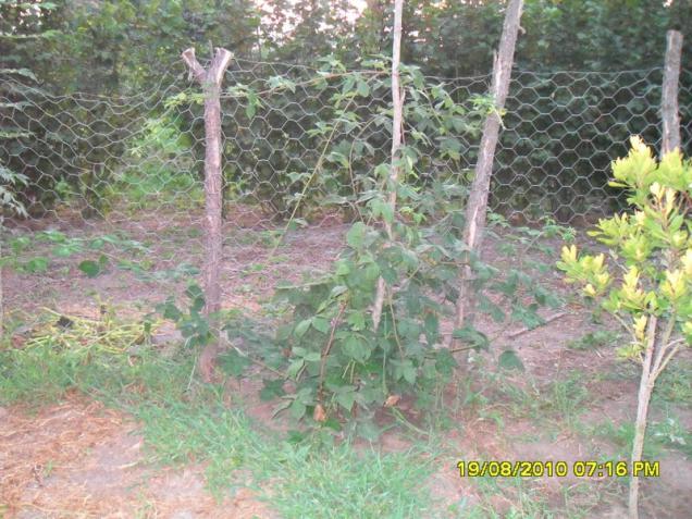 Name:  026.jpg
Views: 619
Size:  70.6 KB
